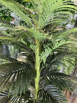 قیمت درختچه مصنوعی نخل کنتیا 2 متری