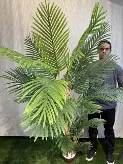 خرید درختچه مصنوعی نخل اریکا 2 متری