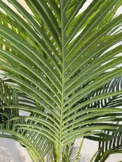 عکس درختچه مصنوعی نخل اریکا