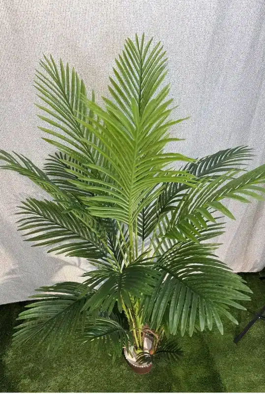 خرید درختچه مصنوعی نخل اریکا 1.8 متری