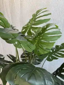 عکس درختچه مصنوعی برگ انجیری 2 متری