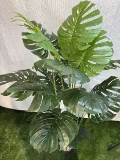 قیمت درختچه مصنوعی برگ انجیری