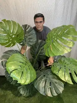 خرید درختچه برگ انجیری مصنوعی 1.8 متری