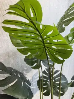 عکس درختچه برگ انجیری مصنوعی