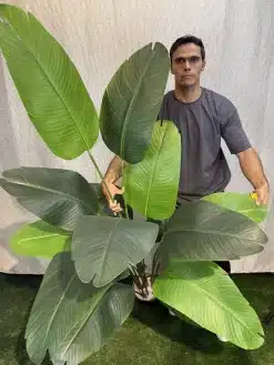 خرید درختچه مصنوعی پرنده بهشتی 2 متری