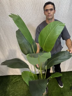 خرید درختچه مصنوعی پرنده بهشتی