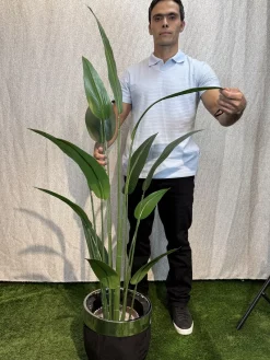 درختچه مصنوعی پرنده بهشتی 1.5 متری