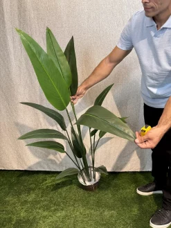 قیمت درختچه مصنوعی پرنده بهشتی 1.5 متری