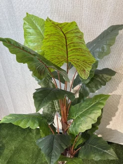 قیمت درختچه مصنوعی بابا آدم 1.8 متری