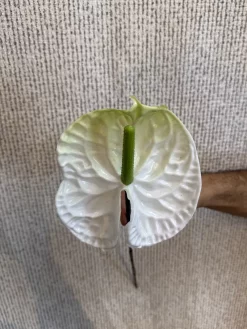 خرید شاخه گل مصنوعی آنتوریوم