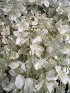 قیمت بوته گل مصنوعی یاس سفید