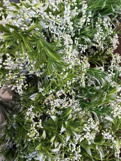 قیمت بوته مصنوعی عروس