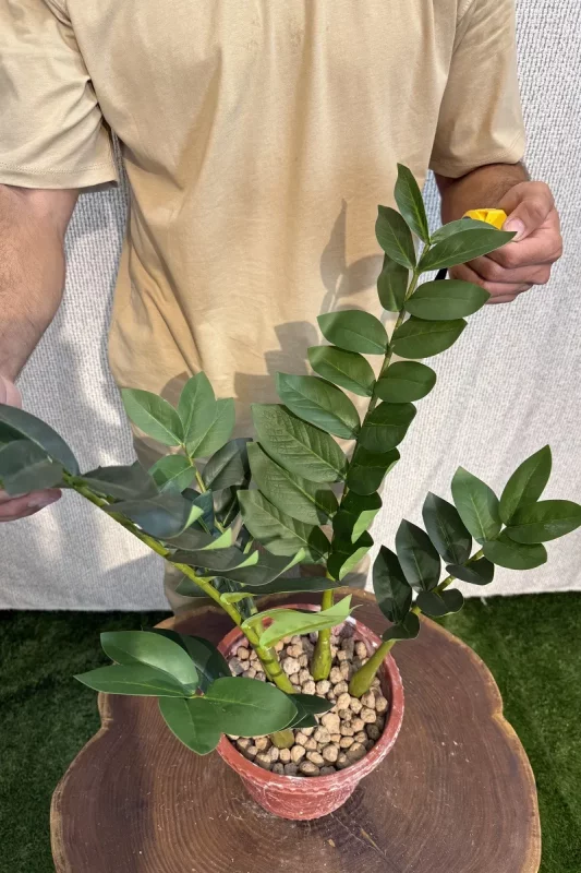 خرید درختچه مصنوعی زاموفیلیا