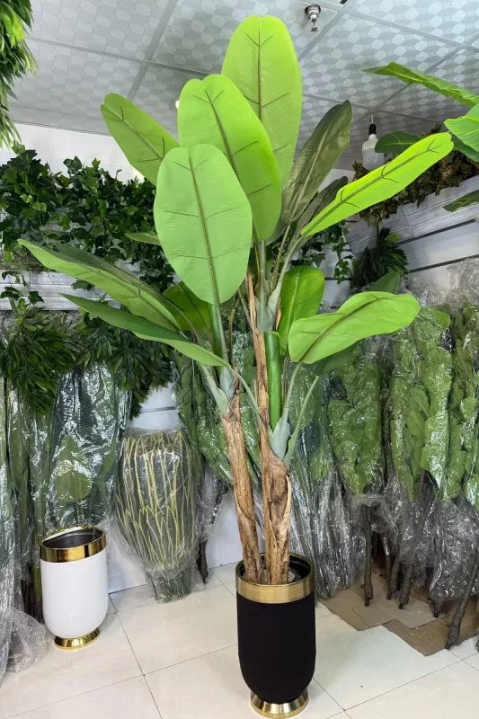 فروش درختچه موز مصنوعی 2.1 متری