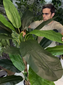 درختچه موز مصنوعی ارزان