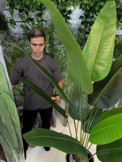 درختچه مصنوعی نخل نیکولای ارزان