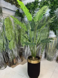 فروش درختچه برگ انجیری مصنوعی 1.5 متری