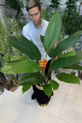 خرید درختچه مصنوعی استرلیتزیا 1.3 متری