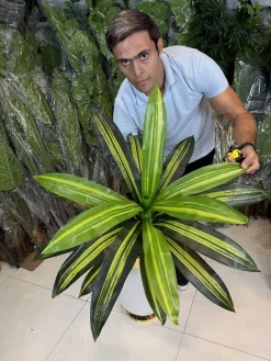 خرید درختچه مصنوعی دراسینا یک متری