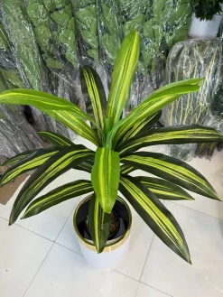 درختچه مصنوعی دراسینا ارزان