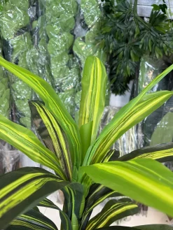 قیمت درختچه مصنوعی دراسینا یک متری