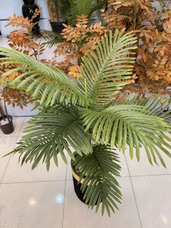 خرید درختچه مصنوعی نخل اریکا