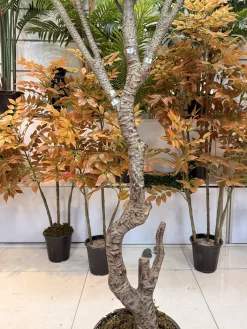 درختچه مصنوعی فیکوس لیراتا 2.2 متری ارزان