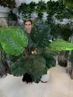 خرید درختچه مصنوعی برگ انجیری 1.6 متری