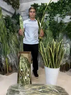گل مصنوعی سانسوریا 40 سانتی