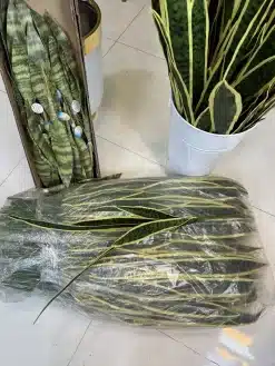 قیمت گل مصنوعی سانسوریا 90 سانتی