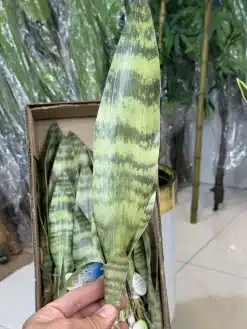 خرید گل مصنوعی سانسوریا 40 سانتی