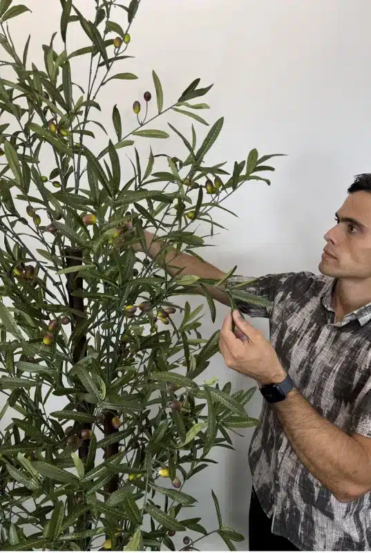 خرید درختچه مصنوعی زیتون 2 متری