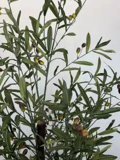 قیمت درختچه مصنوعی زیتون