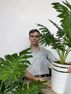 بوته مصنوعی آرالیا 90 سانتی