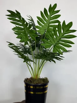 قیمت بوته مصنوعی آرالیا 90 سانتی