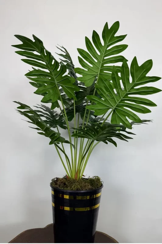 قیمت بوته مصنوعی آرالیا 90 سانتی