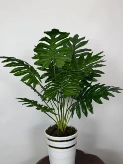 فروش بوته مصنوعی آرالیا