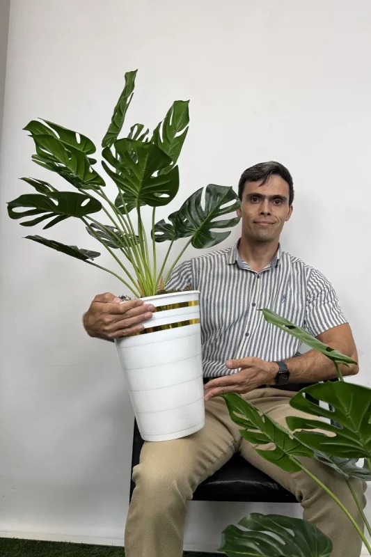 بوته مصنوعی برگ انجیری 90 سانتی