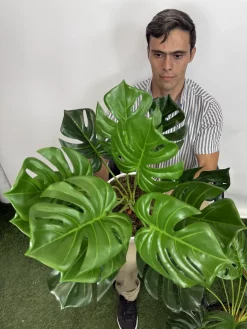 خرید بوته مصنوعی برگ انجیری 90 سانتی