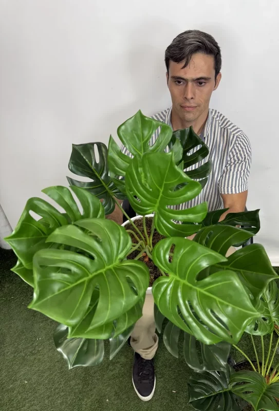 خرید بوته مصنوعی برگ انجیری 90 سانتی