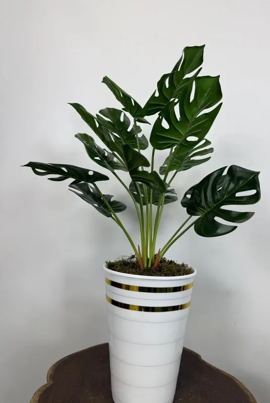 قیمت بوته مصنوعی برگ انجیری 90 سانتی