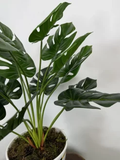 بوته مصنوعی برگ انجیری ارزان