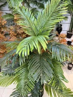 قیمت درختچه مصنوعی نخل کنتیا 1.8 متری