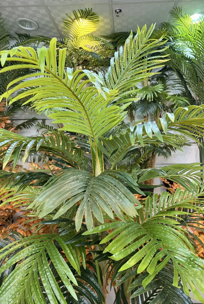 فروش درختچه مصنوعی نخل کنتیا 1.8 متری