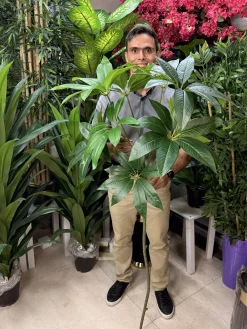 شاخه برگ مصنوعی پاچیرا 1.5 متری