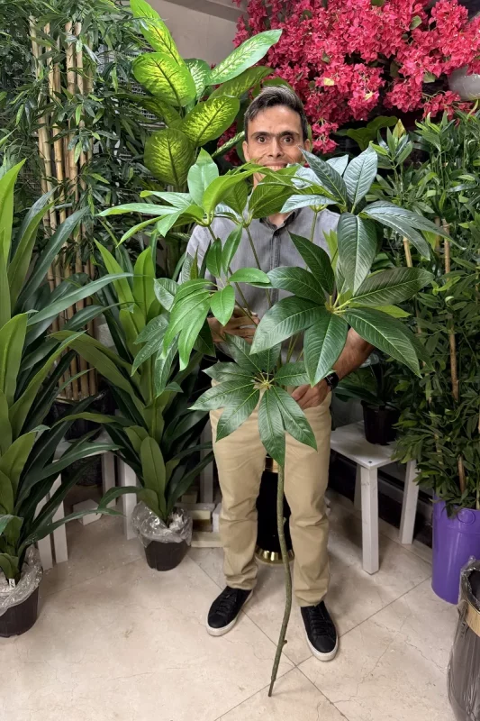 شاخه برگ مصنوعی پاچیرا 1.5 متری