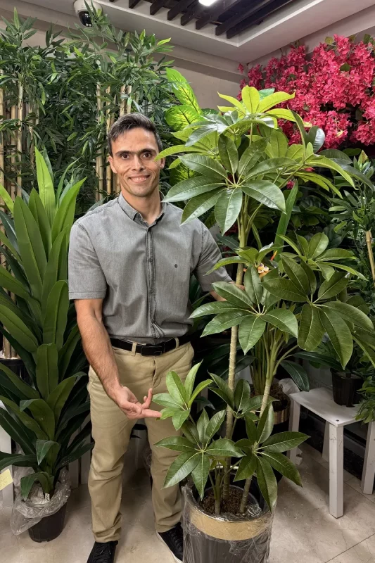 درختچه مصنوعی پاچیرا 1.5 متری