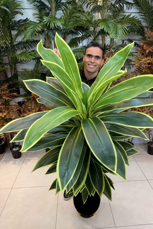 خرید درختچه مصنوعی دراسینا بلالی