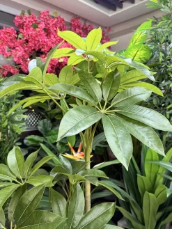 درختچه مصنوعی پاچیرا ارزان