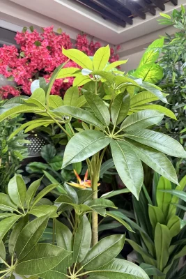 درختچه مصنوعی پاچیرا ارزان